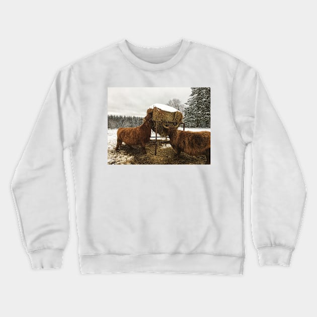 Scottish Highland Cattle Cows 2179 Crewneck Sweatshirt by SaarelaHighland